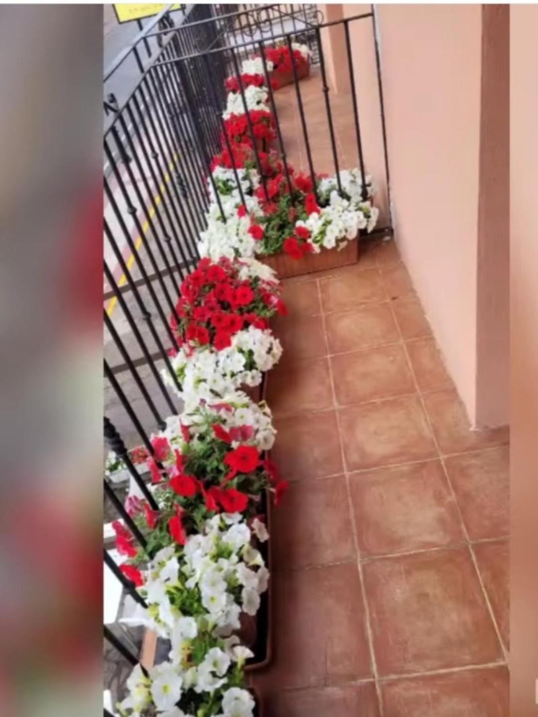 Caminomorisco Hotel Rural Cristania المظهر الخارجي الصورة